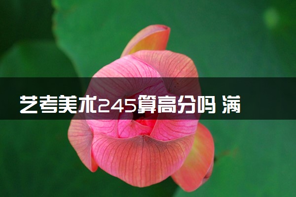 艺考美术245算高分吗 满分多少分