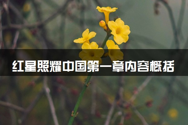 红星照耀中国第一章内容概括 有哪些阅读感悟