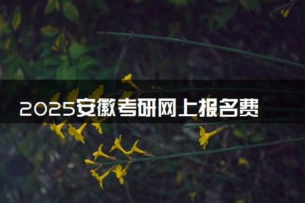 2025安徽考研网上报名费用是多少 收费标准是什么