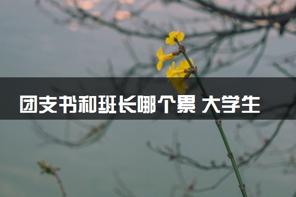 团支书和班长哪个累 大学生当什么班干部最好