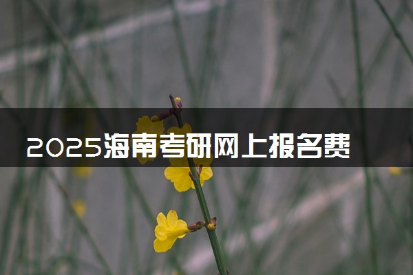2025海南考研网上报名费用是多少 收费标准是什么