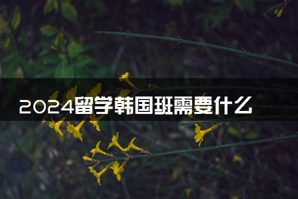 2024留学韩国班需要什么条件 怎么申请