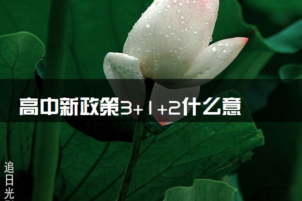 高中新政策3+1+2什么意思 具体含义