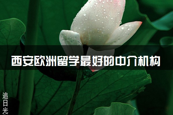 西安欧洲留学最好的中介机构十大排名