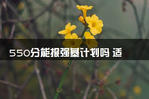 550分能报强基计划吗 适合哪类学生报考