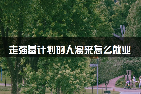 走强基计划的人将来怎么就业 毕业后能干什么