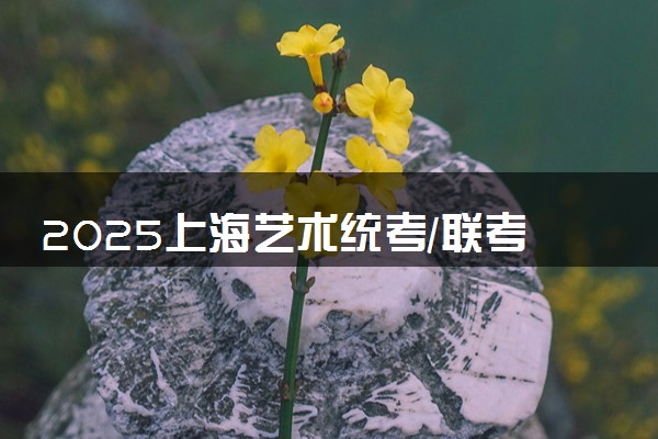 2025上海艺术统考/联考什么时候考试 具体考试时间安排