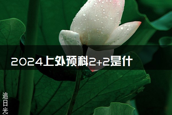 2024上外预科2+2是什么项目 值得读吗