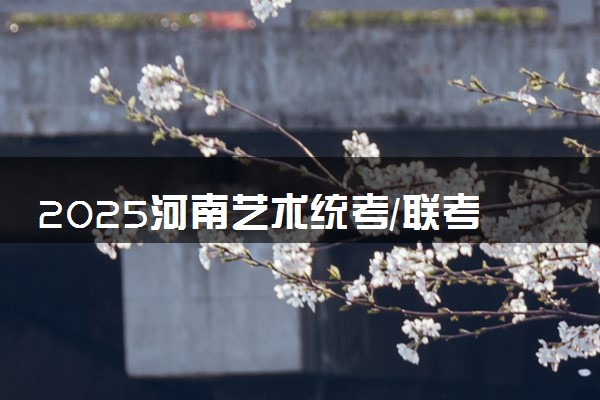 2025河南艺术统考/联考什么时候考试 具体考试时间安排