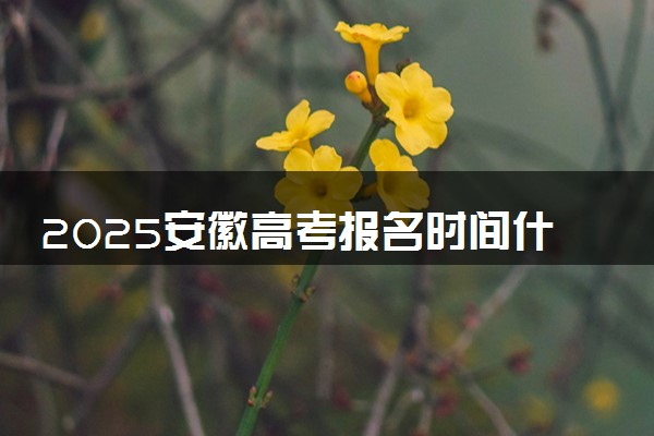 2025安徽高考报名时间什么时候 有哪些报名要求