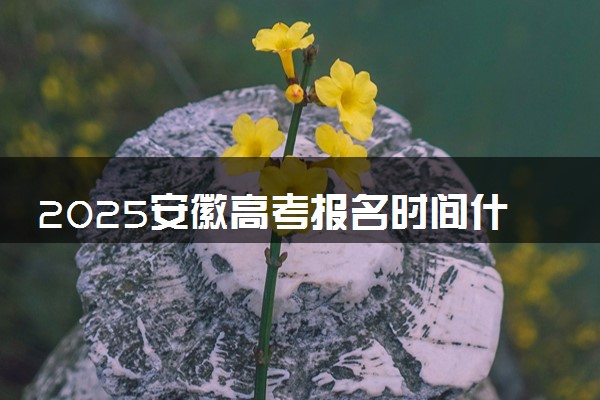 2025安徽高考报名时间什么时候 具体几号报名
