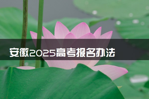 安徽2025高考报名办法 怎么报名