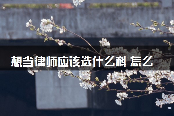 想当律师应该选什么科 怎么选科比较好