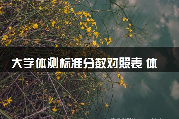 大学体测标准分数对照表 体侧多少分及格