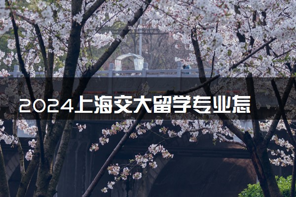 2024上海交大留学专业怎么样 能考研吗