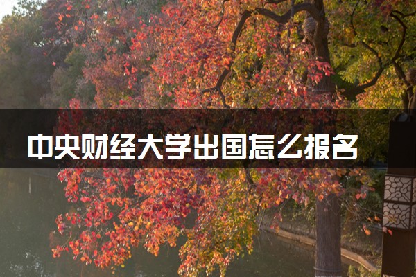 中央财经大学出国怎么报名 2024需要什么材料