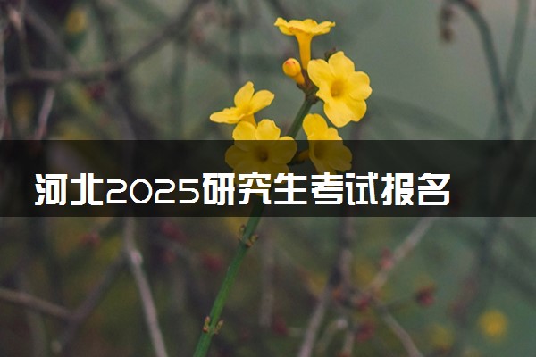 河北2025研究生考试报名时间 什么时候开始报考