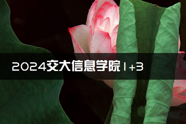 2024交大信息学院1+3好吗 值得报考吗