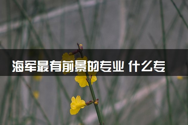 海军最有前景的专业 什么专业最吃香