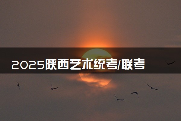 2025陕西艺术统考/联考报名时间几月几号 哪天报名