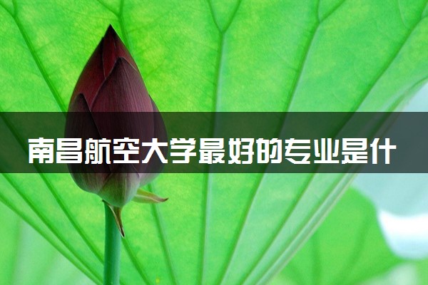南昌航空大学最好的专业是什么 哪些专业受欢迎