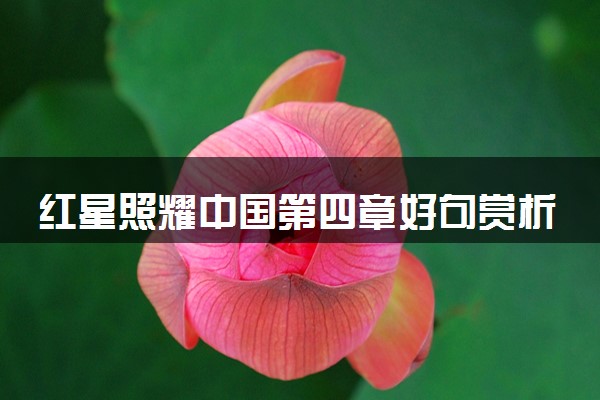 红星照耀中国第四章好句赏析 有哪些优美句子