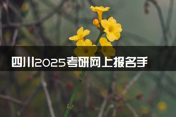 四川2025考研网上报名手机端入口 报名流程是什么