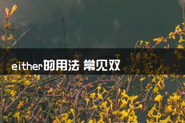 either的用法 常见双语例句整理