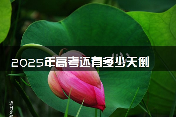 2025年高考还有多少天倒计时 最新高考倒计时日历
