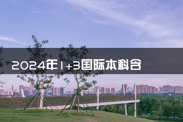 2024年1+3国际本科含金量高吗 有哪些优势