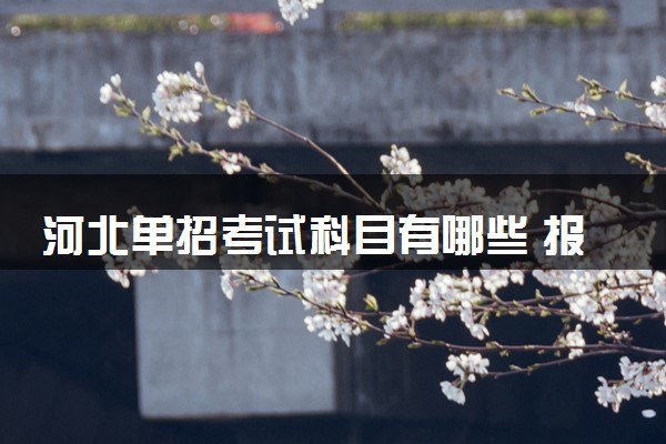 河北单招考试科目有哪些 报名费多少
