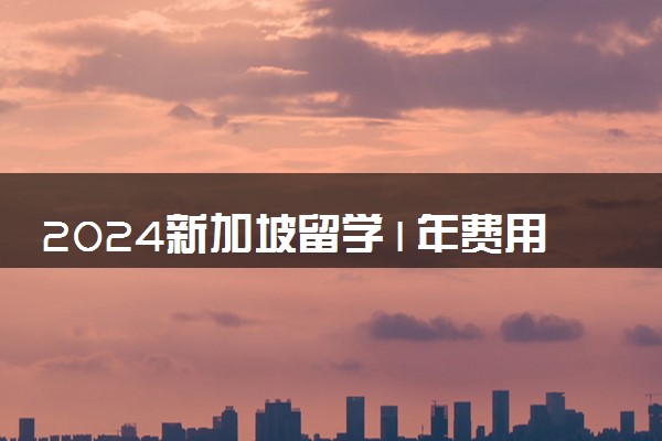 2024新加坡留学1年费用多少 有意义吗
