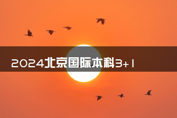 2024北京国际本科3+1有哪些学校 值得去读吗