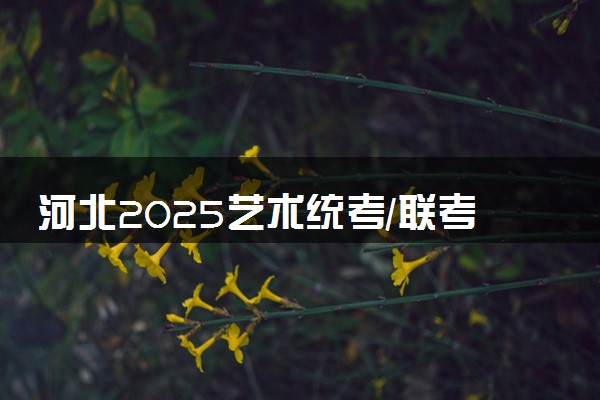 河北2025艺术统考/联考成绩什么时候公布 哪天查分