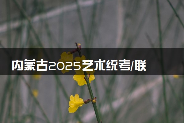 内蒙古2025艺术统考/联考成绩什么时候公布 哪天查分
