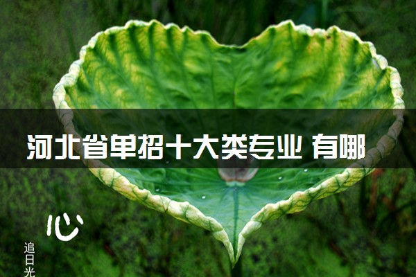 河北省单招十大类专业 有哪些专业