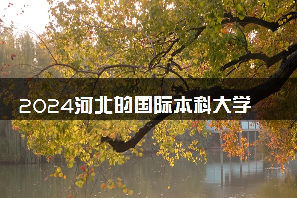 2024河北的国际本科大学有几所 读完有什么用