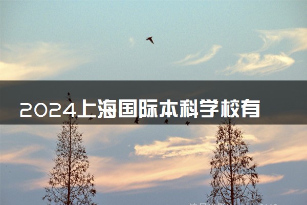 2024上海国际本科学校有哪些 含金量高吗