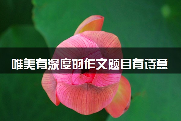 唯美有深度的作文题目有诗意 惊艳阅卷老师的作文标题
