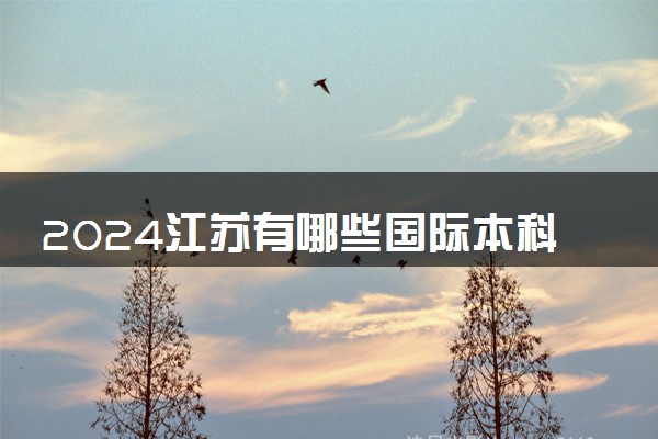 2024江苏有哪些国际本科院校 读完好就业吗
