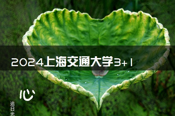 2024上海交通大学3+1+1国际本科的含金量 未来好就业吗