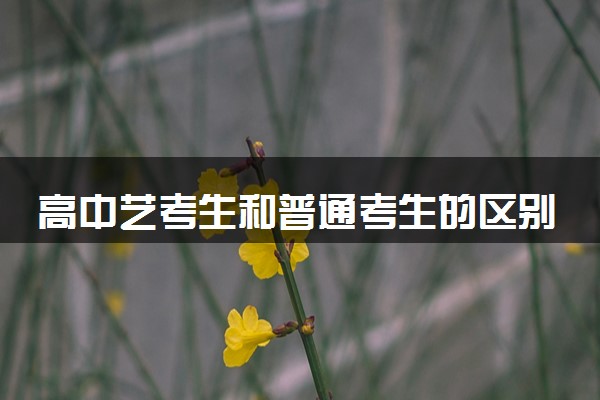 高中艺考生和普通考生的区别 有哪些不同