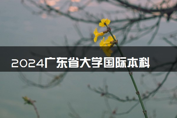2024广东省大学国际本科值得读吗 有哪些优点