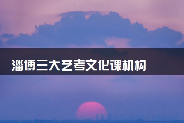 淄博三大艺考文化课机构