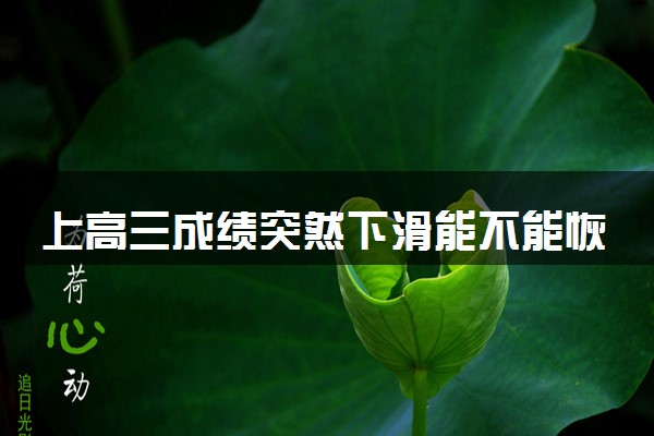上高三成绩突然下滑能不能恢复