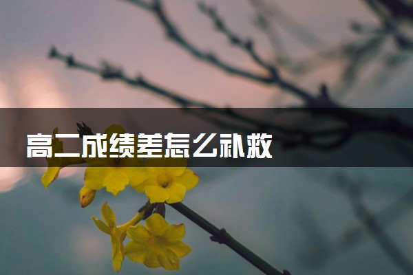 高二成绩差怎么补救