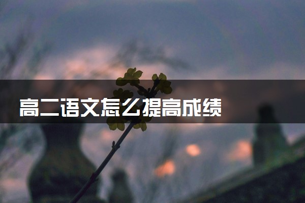 高二语文怎么提高成绩