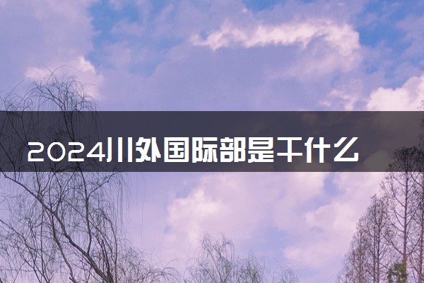 2024川外国际部是干什么的 在全国被认可吗