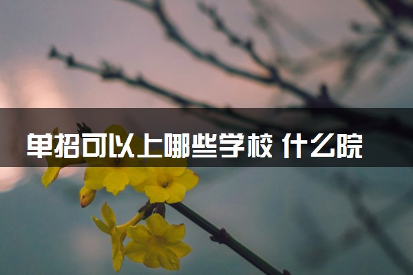 单招可以上哪些学校 什么院校办学实力顶尖