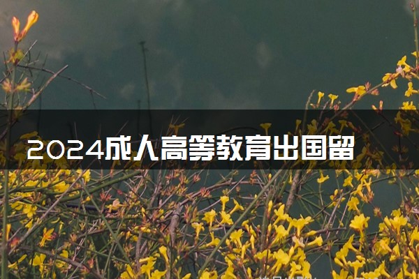 2024成人高等教育出国留学怎么样 前景如何